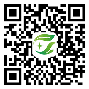 手機(jī)二維碼